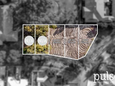 201/3 Michael Court, Shelley WA 6148
